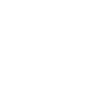 Answer Engine Optimization