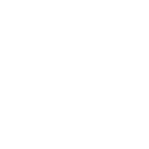Seo icon