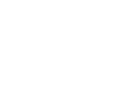e-commerce icon