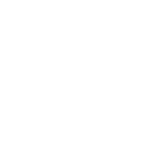 Home icon