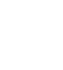 Lock icon