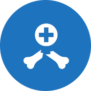 Orthopaedic Surgeon