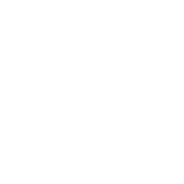 Testing, Launch and Training