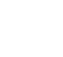 Therapist