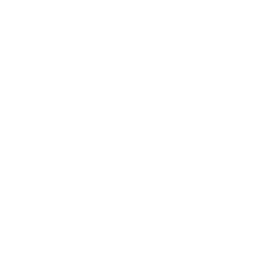 Thinking head