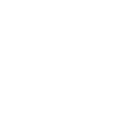 Web icon
