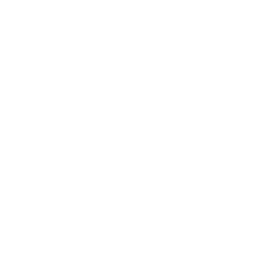 WordPress Migration