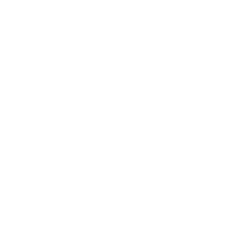 Information Architecture