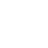 AI Search Visibility