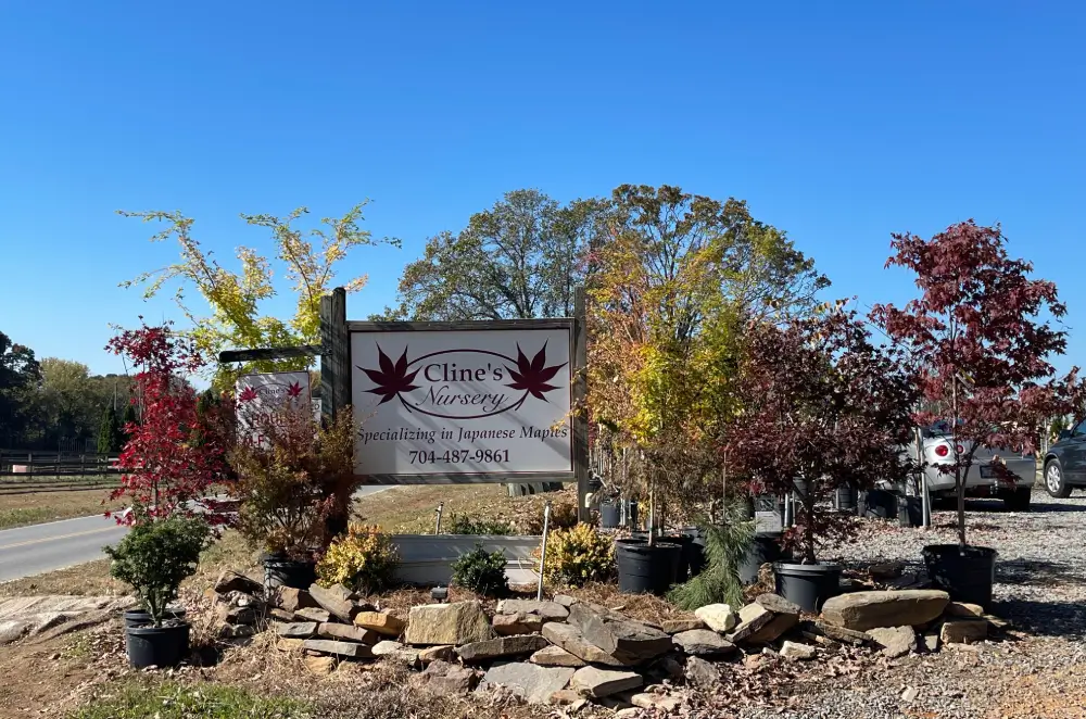 Cline's Nursery Shelby NC